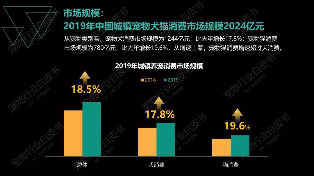 深圳购物中心宠物零售汇总 看他们如何打造“萌宠经济”